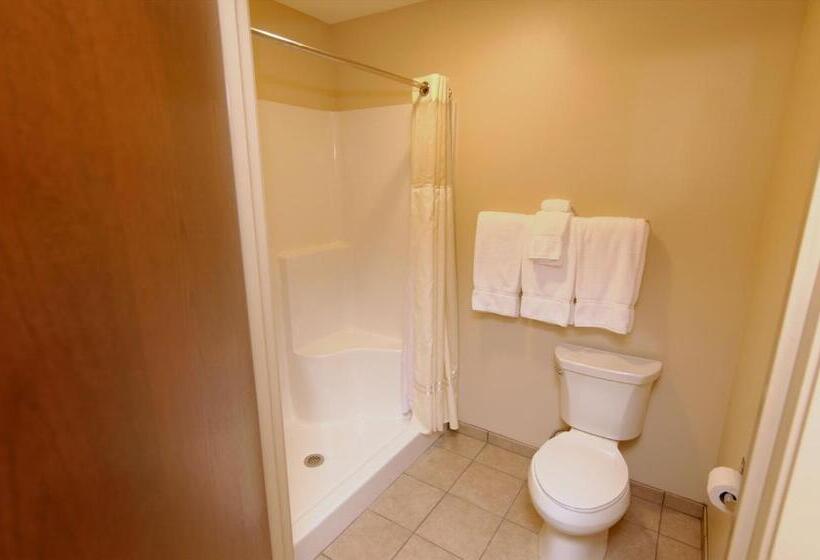 Стандартный Номер Кровать Кинг, Cobblestone Inn & Suites  Fort Madison