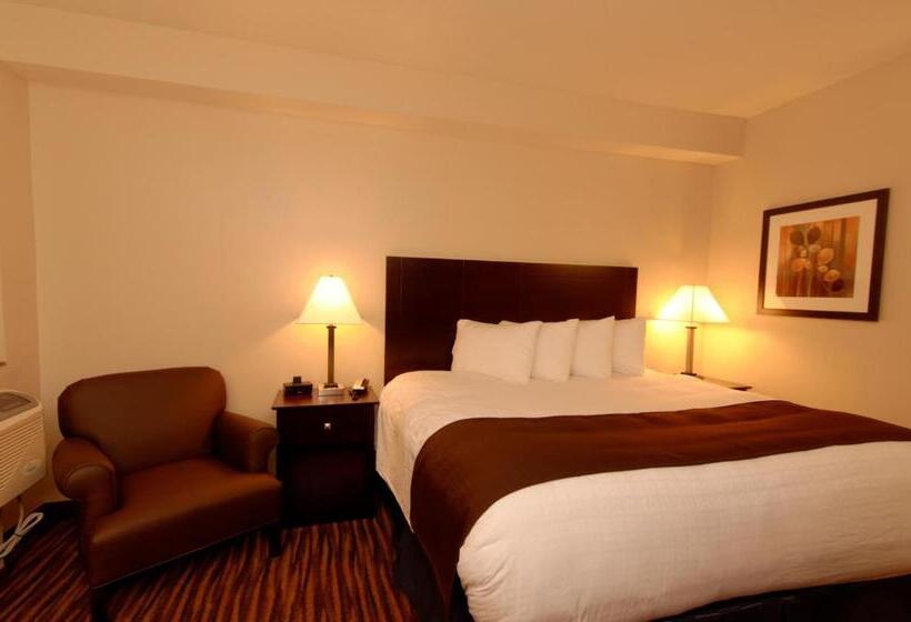Номер Стандарт Кровать Кинг Адаптированный для Инвалидов, Cobblestone Inn & Suites  Fort Madison