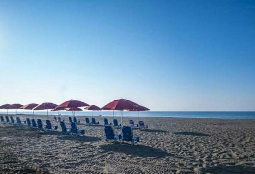 اتاق لوکس, Casa Margarita Hotel And Paradise