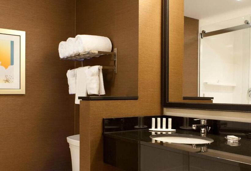 Люкс Кровать Кинг, Fairfield Inn & Suites By Marriott Lethbridge