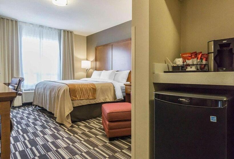 Стандартный Номер Кровать Кинг, Comfort Inn & Suites Edmonton International Airport