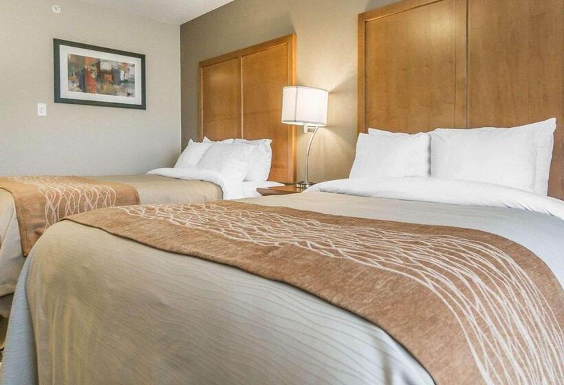 Номер Стандарт, Comfort Inn & Suites Edmonton International Airport