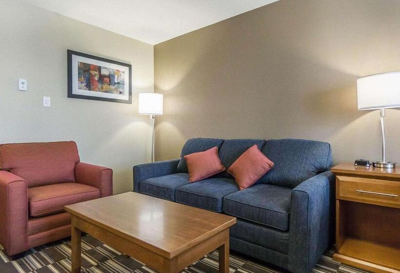Президентский Люкс, Comfort Inn & Suites Edmonton International Airport
