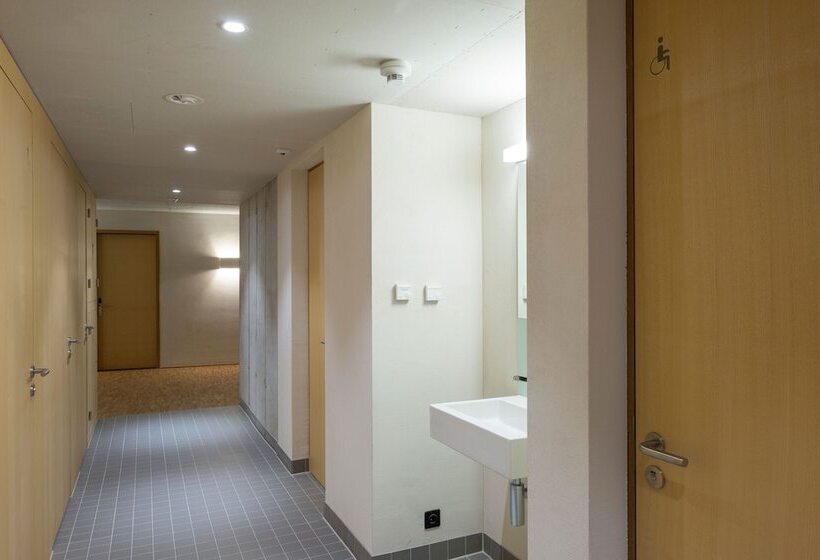 اتاق استاندارد با سرویس بهداشتی مشترک, Saanen Gstaad Youth Hostel