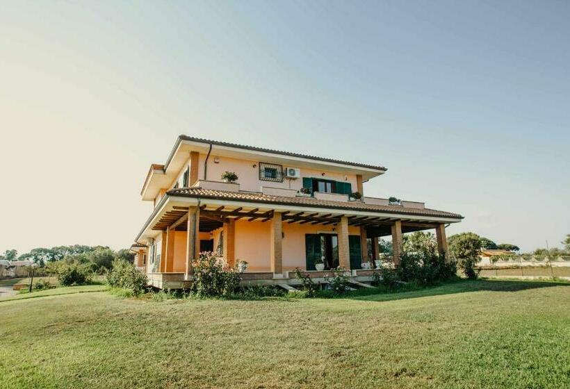 Полулюкс, Bed And Breakfast Villa Romano