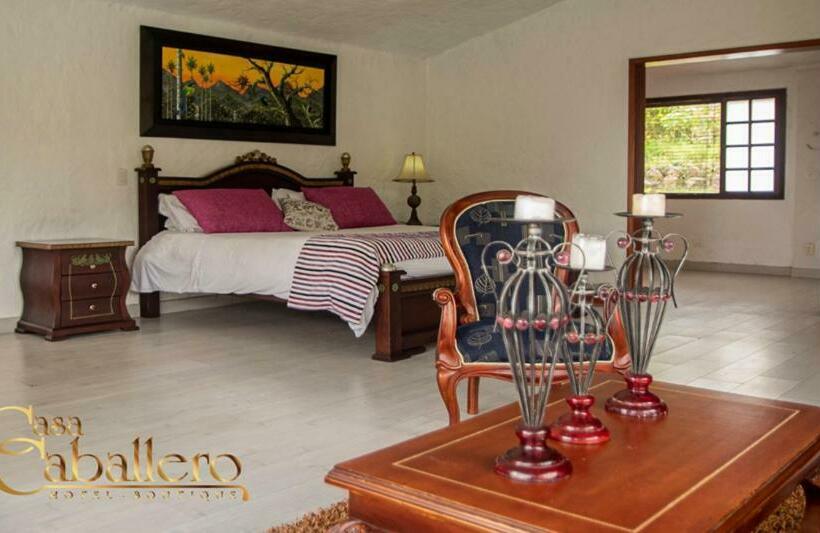 디럭스 스튜디오, Casa Caballero Hotel Boutique