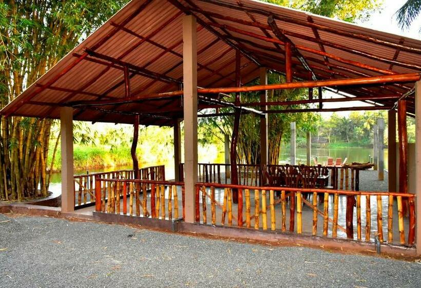 اتاق لوکس, Pelican Lake