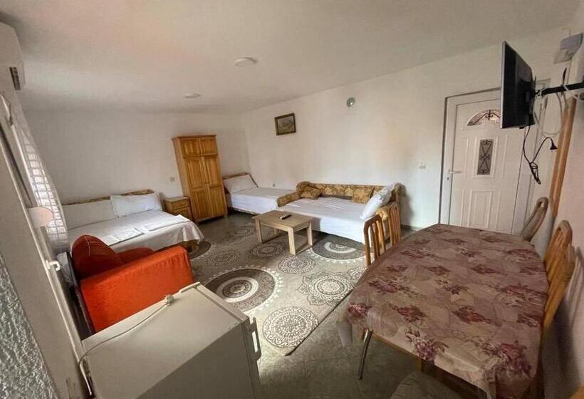 اتاق خانوادگی, Apartments Zeneva