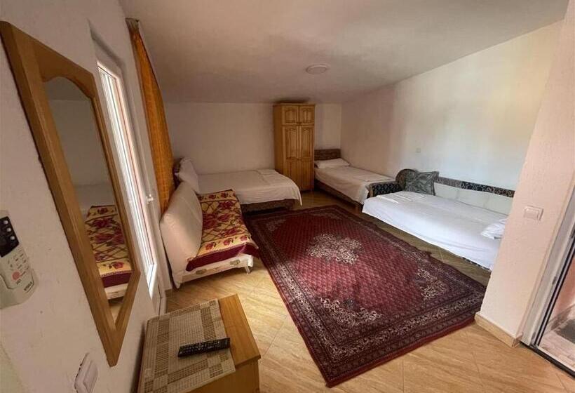 اتاق خانوادگی, Apartments Zeneva