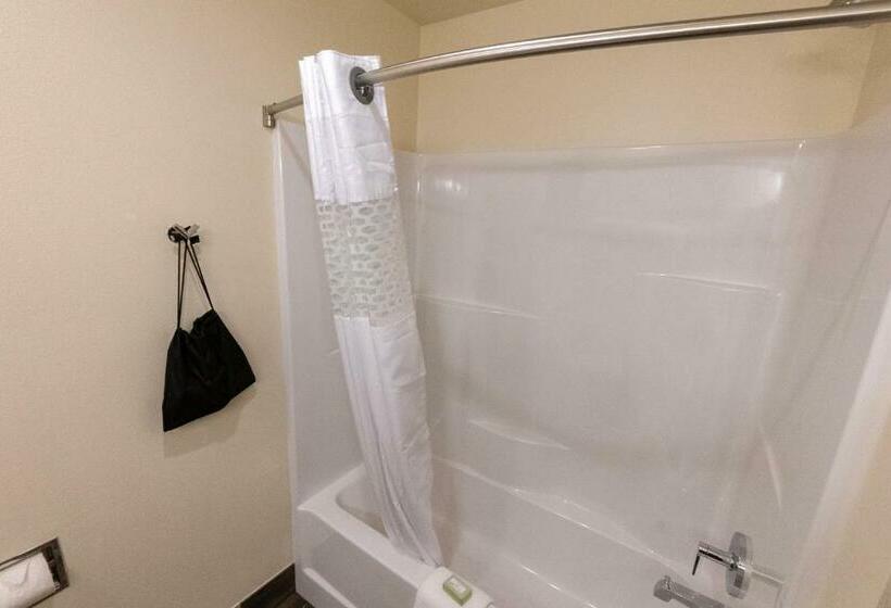 스탠다드 룸, Cobblestone Hotel & Suites Sheldon