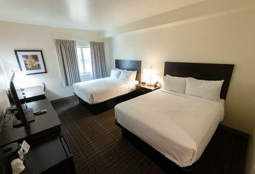 스탠다드 룸, Cobblestone Hotel & Suites Sheldon