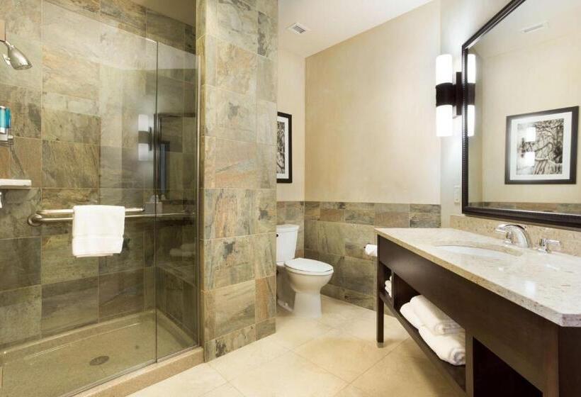 Номер Deluxe с Террасой, Drury Plaza Hotel In Santa Fe