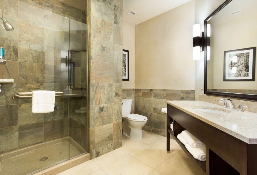 Номер Deluxe с Террасой, Drury Plaza Hotel In Santa Fe