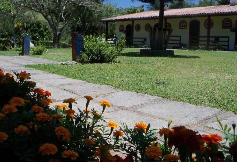 اتاق استاندارد, Tarkna   Hotel Holandês
