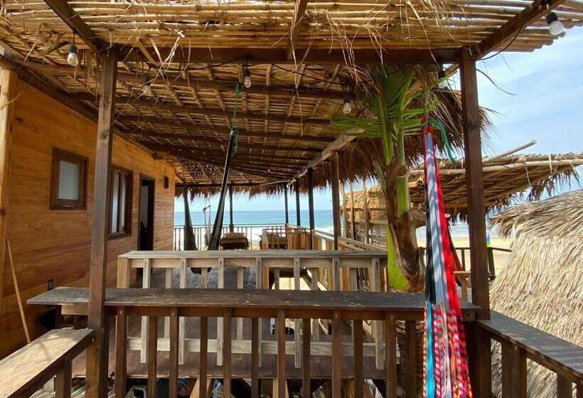 اتاق استاندارد, Cafe Maya