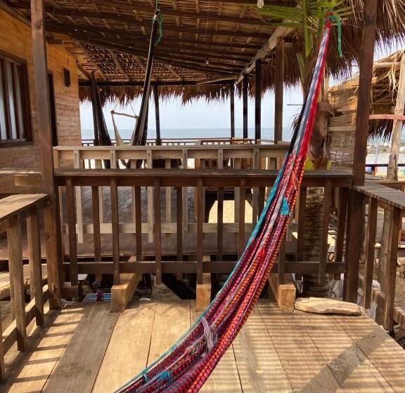 اتاق استاندارد, Cafe Maya