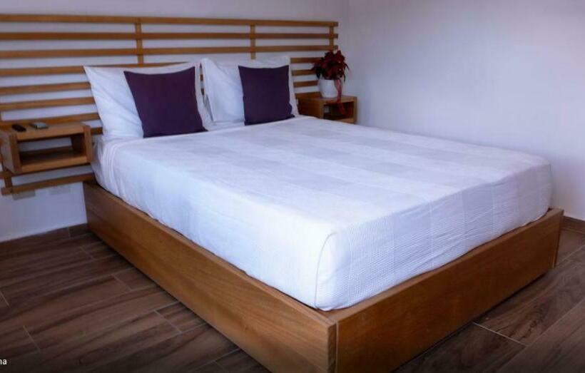 اتاق استاندارد با چشم‌انداز دریا, Samaná Suites Hotel By Croma