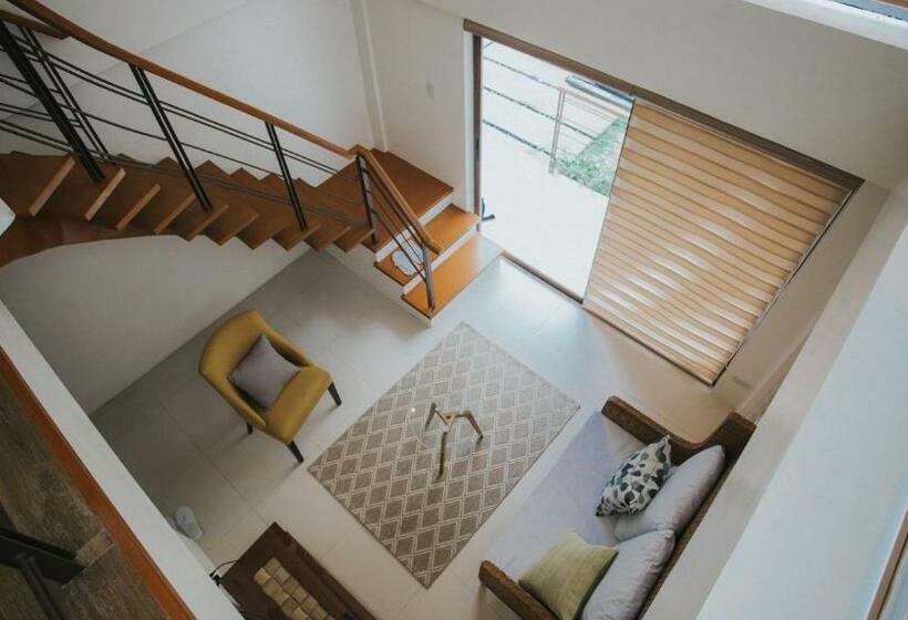 Студия Стандарт, Estancia De Lorenzo