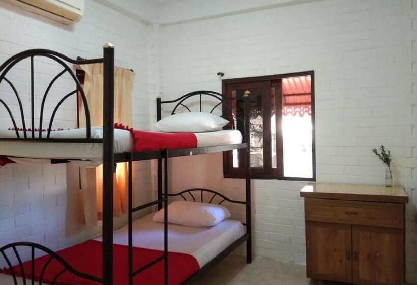 2间卧室的房子, Monkey Samui Hostel