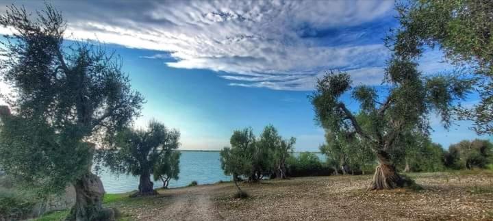 اتاق استاندارد با چشم‌انداز دریاچه, B&b La Torre Antica