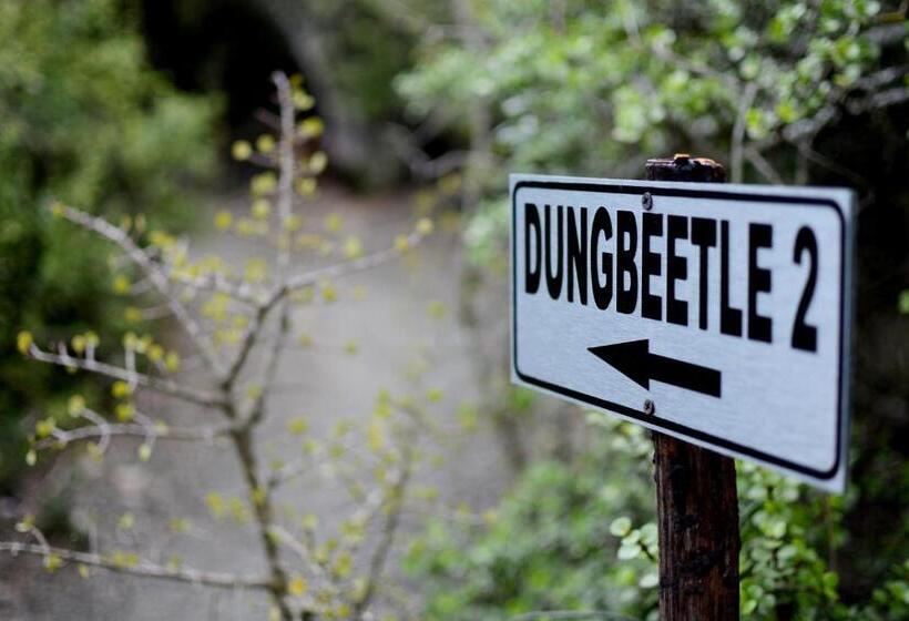 스위트, Addo Dung Beetle Guest Farm