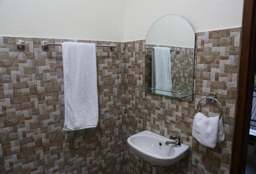 Quarto Estandar, Ancut Sari