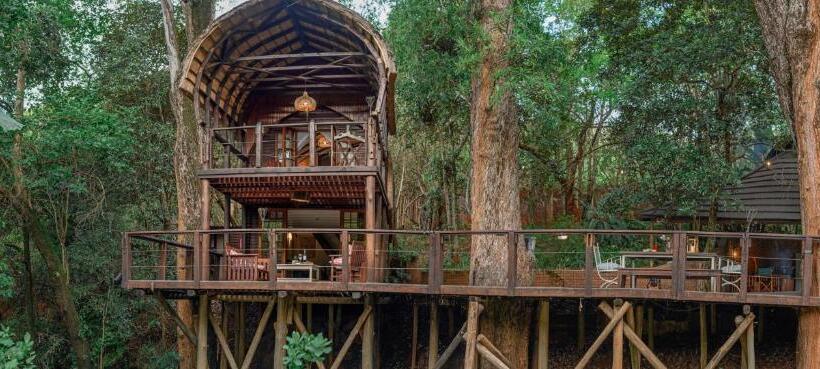 Family Suite, Serenity Mountain And Forest Lodge