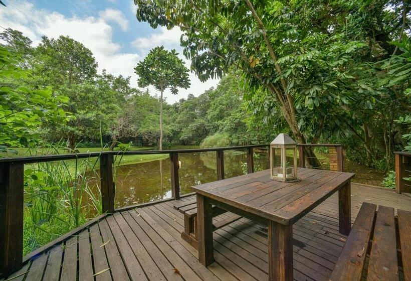 Family Suite, Serenity Mountain And Forest Lodge