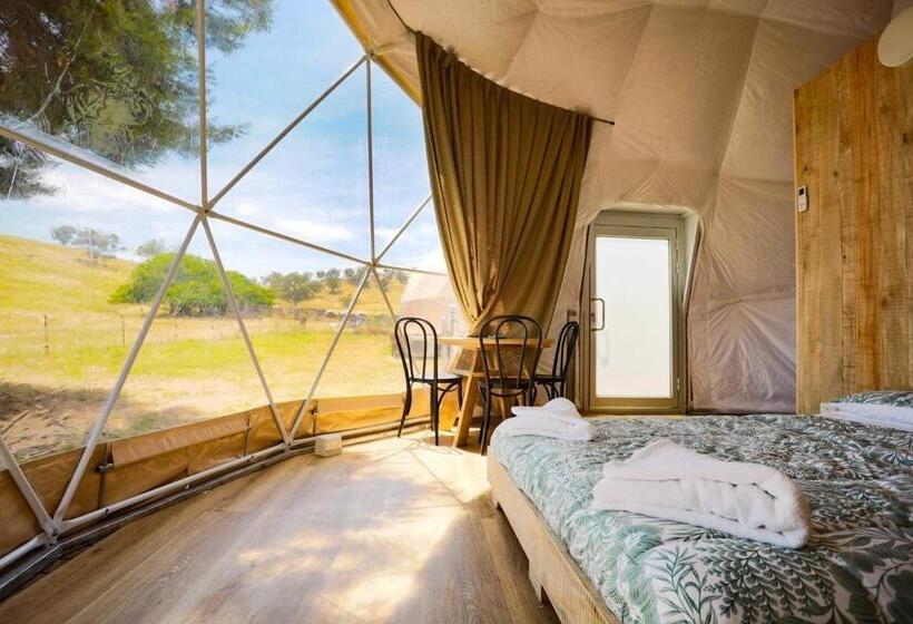 Standard Tent, Hillview Farmstay