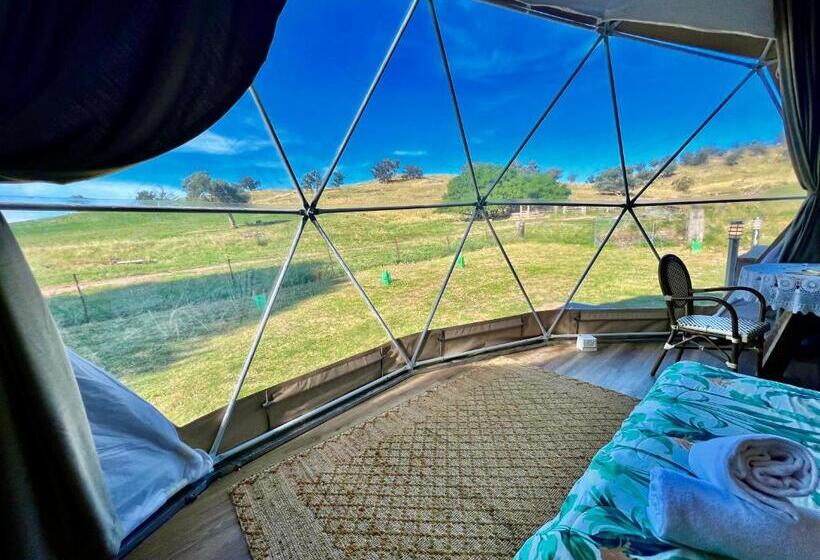 Standard Tent, Hillview Farmstay