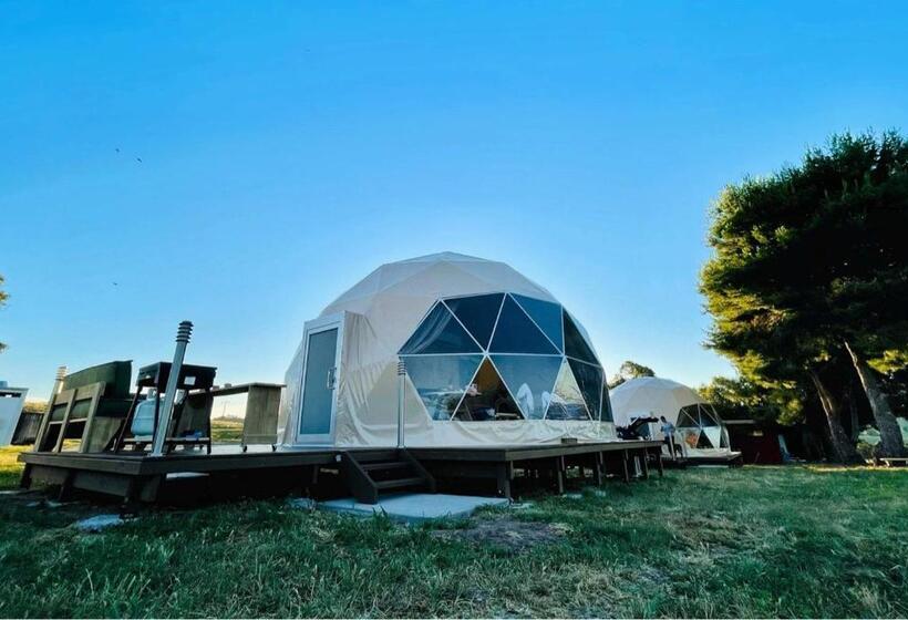 Standard Tent, Hillview Farmstay