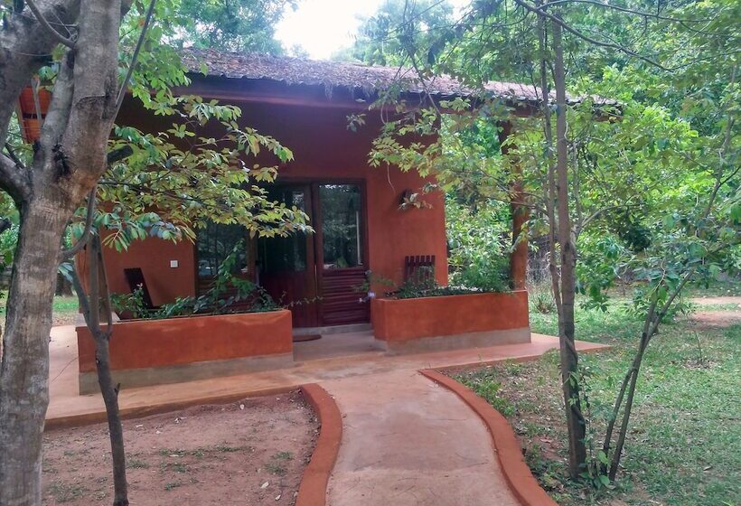Бунгало Deluxe, Kuwera Eco Lodge