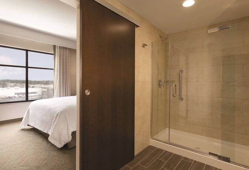 Люкс Премиум, Embassy Suites By Hilton Akroncanton Airport