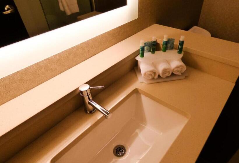 Номер Стандарт, Holiday Inn Express & Suites Plymouth   Ann Arbor Area, An Ihg