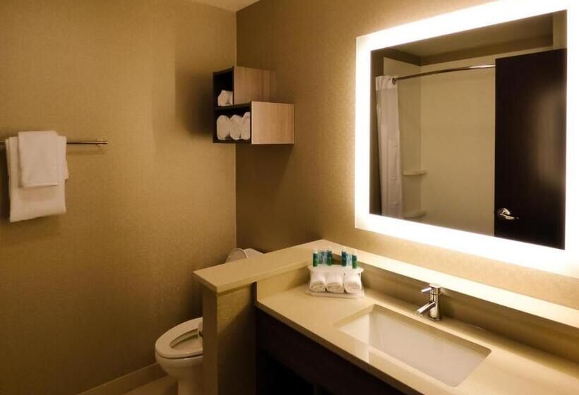Номер Deluxe, Holiday Inn Express & Suites Plymouth   Ann Arbor Area, An Ihg