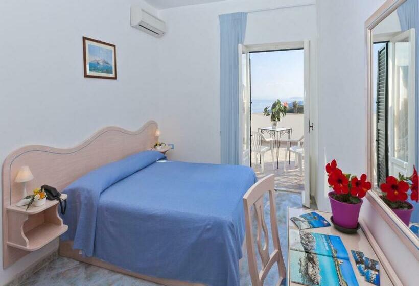 اتاق استاندارد با چشم‌انداز دریا, Villa D'orta