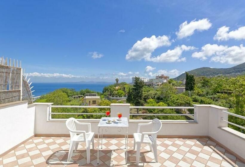 اتاق استاندارد با چشم‌انداز دریا, Villa D'orta