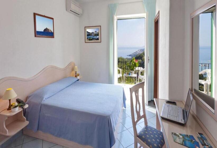 اتاق استاندارد با چشم‌انداز دریا, Villa D'orta