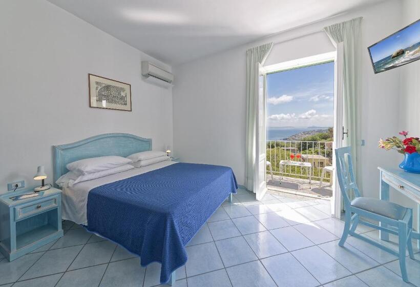 اتاق استاندارد با چشم‌انداز دریا, Villa D'orta