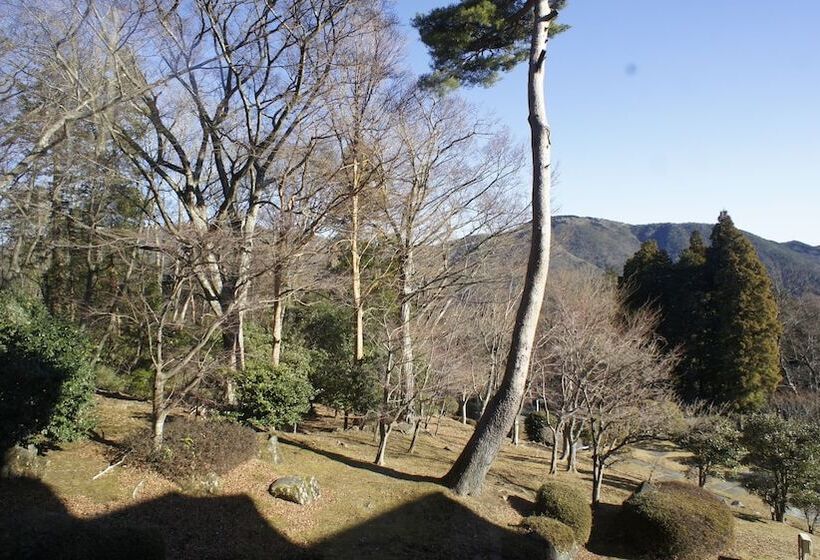 Номер Стандарт, Hakone Forest Of Verde