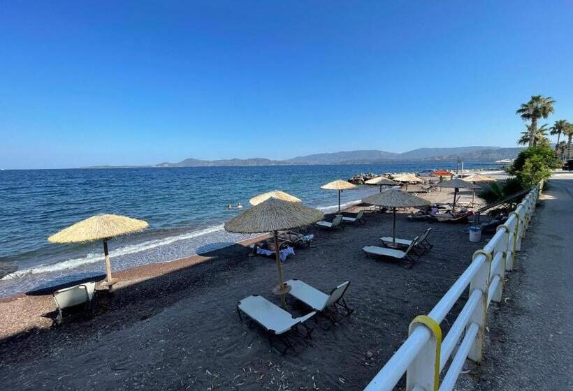 Студия Стандарт Вид на Море, Apollon
