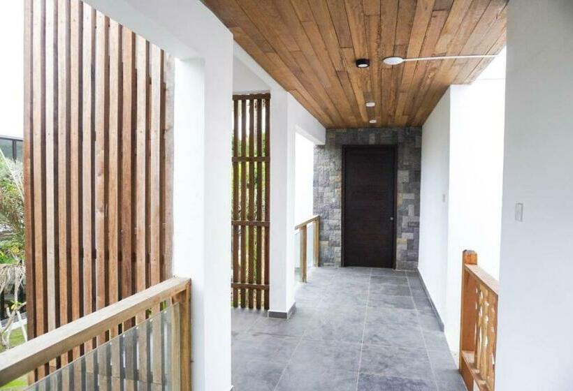 Suíte Deluxe, Nero North