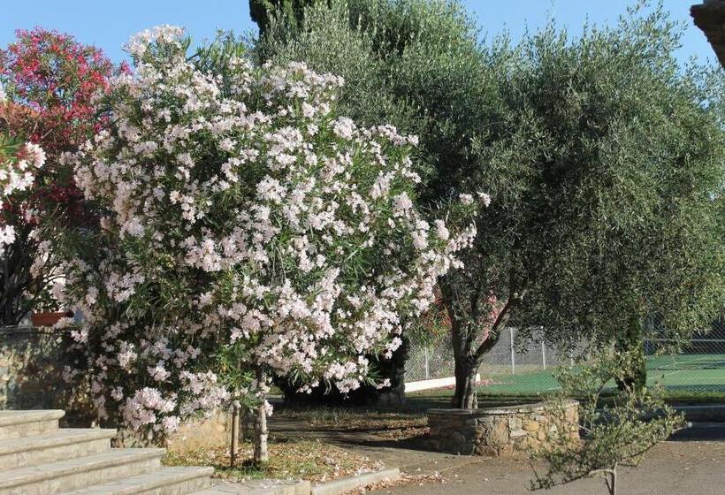 اتاق استاندارد سه نفره, Chambres D Hôtes Le Clos Des Oliviers