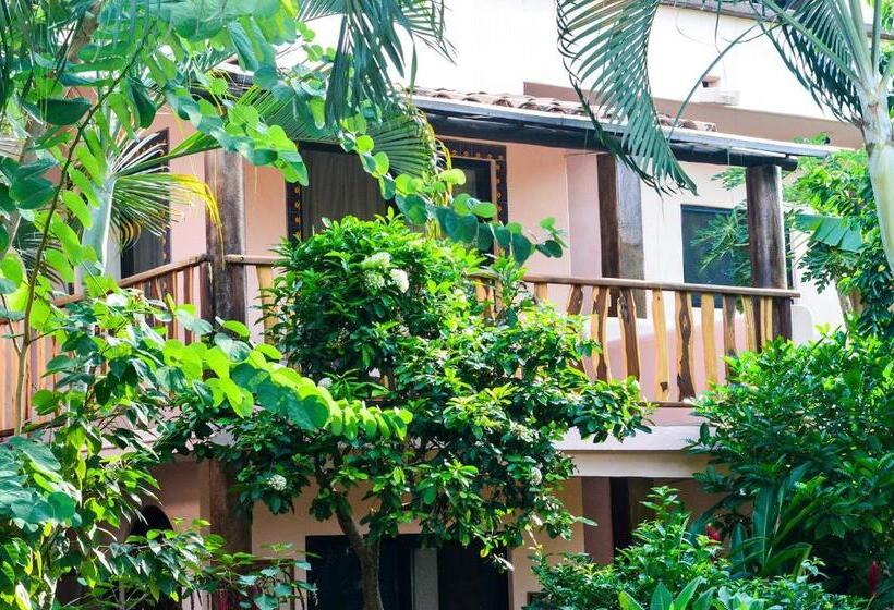 Студия Стандарт, Casamar Suites