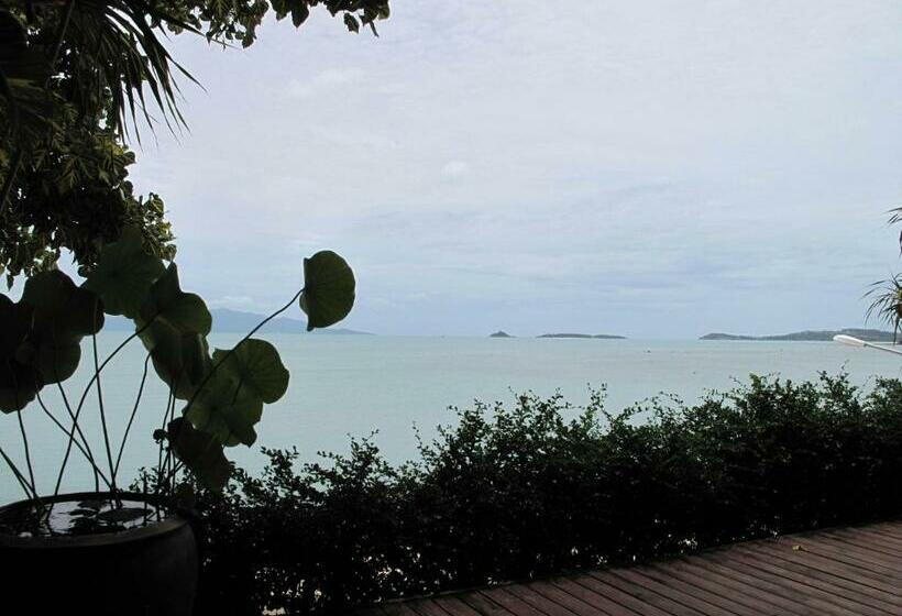 سوئیت 2 خوابه, Grand Villa La Perla