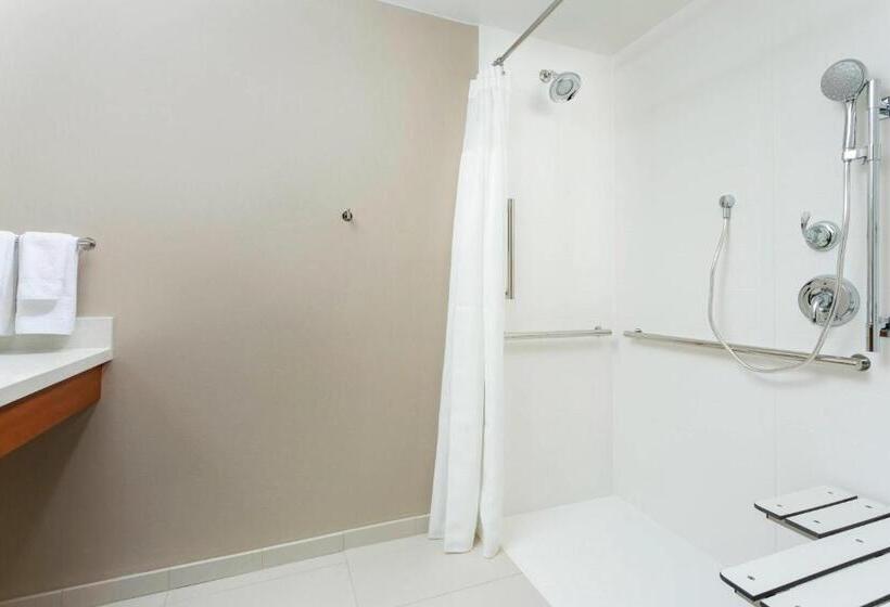 Студио Стандарт Кровать Кинг, Springhill Suites By Marriott San Diego Mission Valley