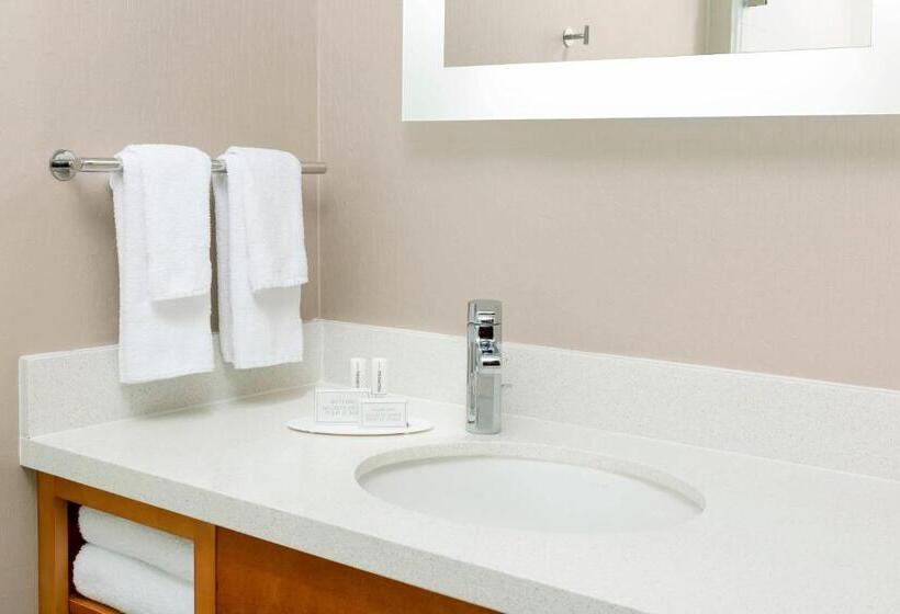 סטודיו סטנדרט, מיטה זוגית, Springhill Suites By Marriott San Diego Mission Valley