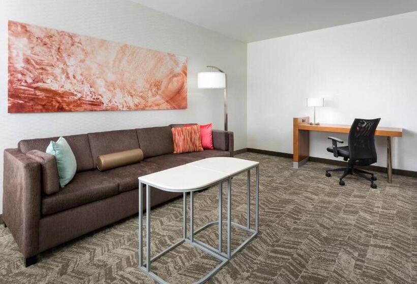 Студио Стандарт Кровать Кинг, Springhill Suites By Marriott San Diego Mission Valley