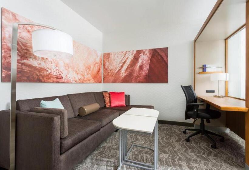 סטודיו סטנדרט, מיטה זוגית, Springhill Suites By Marriott San Diego Mission Valley