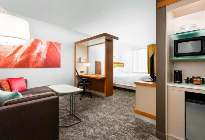 Студио Стандарт Кровать Кинг, Springhill Suites By Marriott San Diego Mission Valley